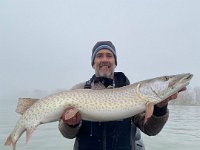 Andy with another great Lake St. Clair Musky ...