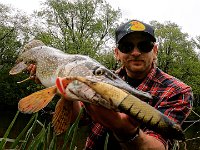 Endi's Guelph Area Northern Pike ...