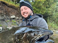 Brandon's  Migratory Chinook Salmon!