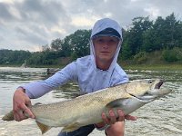 Calun on the Saugeen River with a Lake Huron Chinook Salmon ...