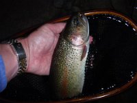 Richard's Rainbow from the Upper Saugeen River ...