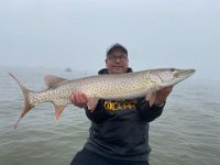 Ross with a great Lake St. Clair Musky ...
