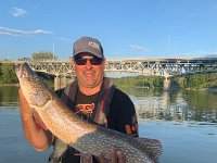 Mike's Saugeen River Northern Pike ...