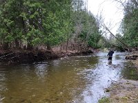 Fly Fishing  The Upper Credit River ...