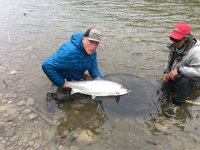 Jim's Trophy 30+lb Restigouche River Atlantic Salmon ...