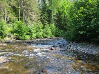North of Sault Saint Marie ... Whitman creek - A Tributary of the Goulais River ...