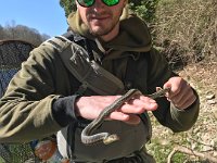 Alex Handling a Snake while on the Lower Maitland River ...
